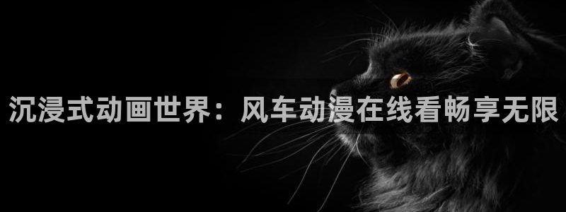 91动漫片子：沉浸式动画世界：风车动漫在线看畅享无限