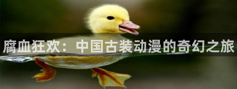 91动漫在：腐血狂欢：中国古装动漫的奇幻之旅