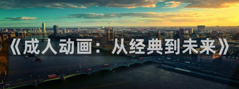 黄91动漫：《成人动画：从经典到未来》