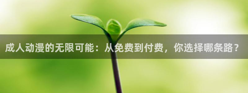 91动漫大全动漫免费观看：成人动漫的无限可能：从免费到付费，你选择哪条路？